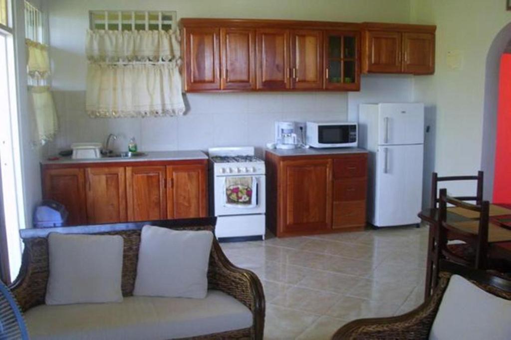 Corosol Apartments Roseau Pokoj fotografie